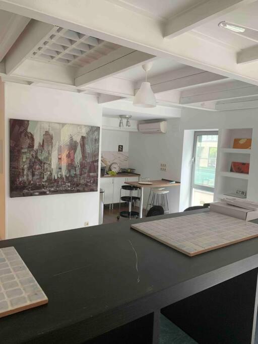 Studio-loft Con Terraza Appartement *